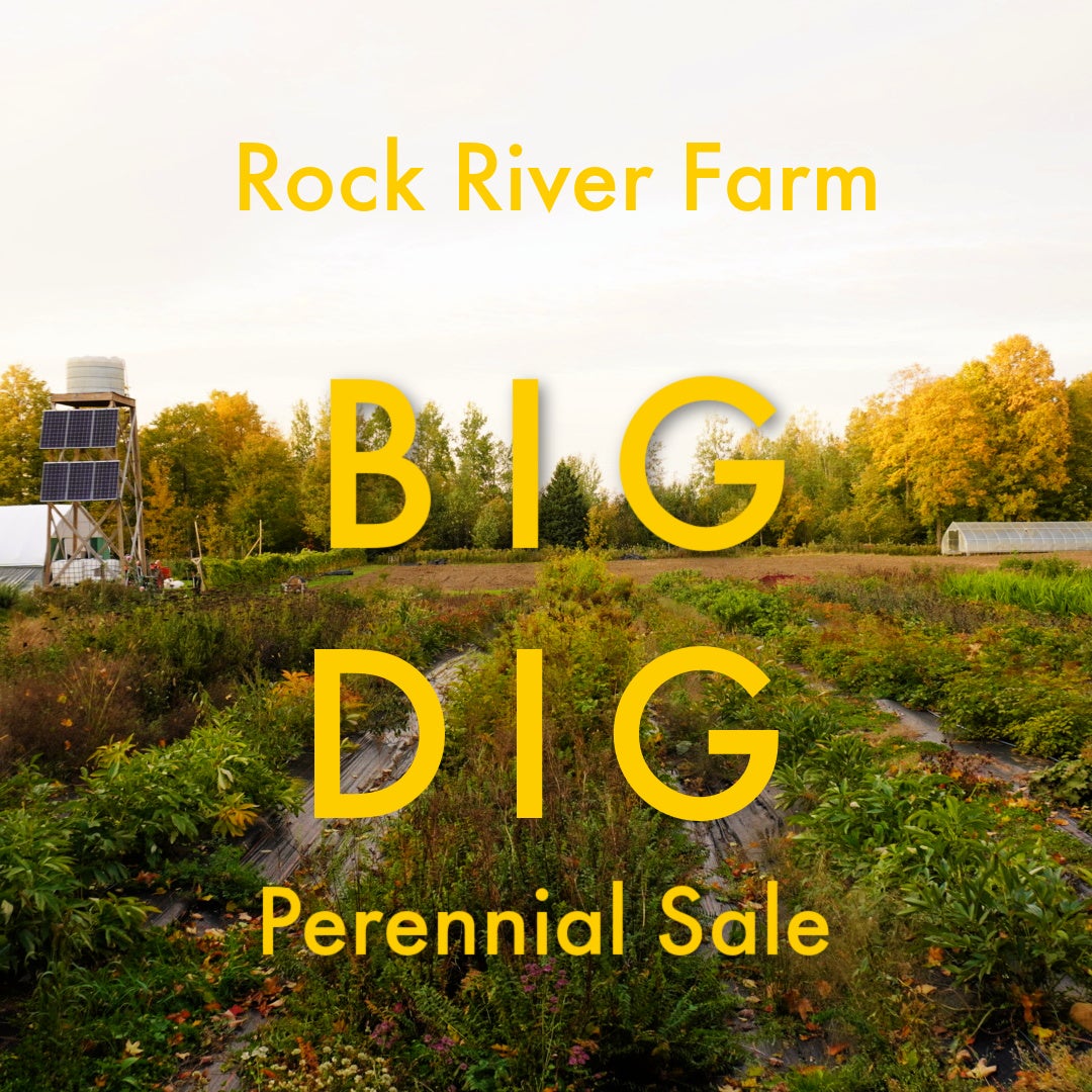 Big Dig | Rock River Farm